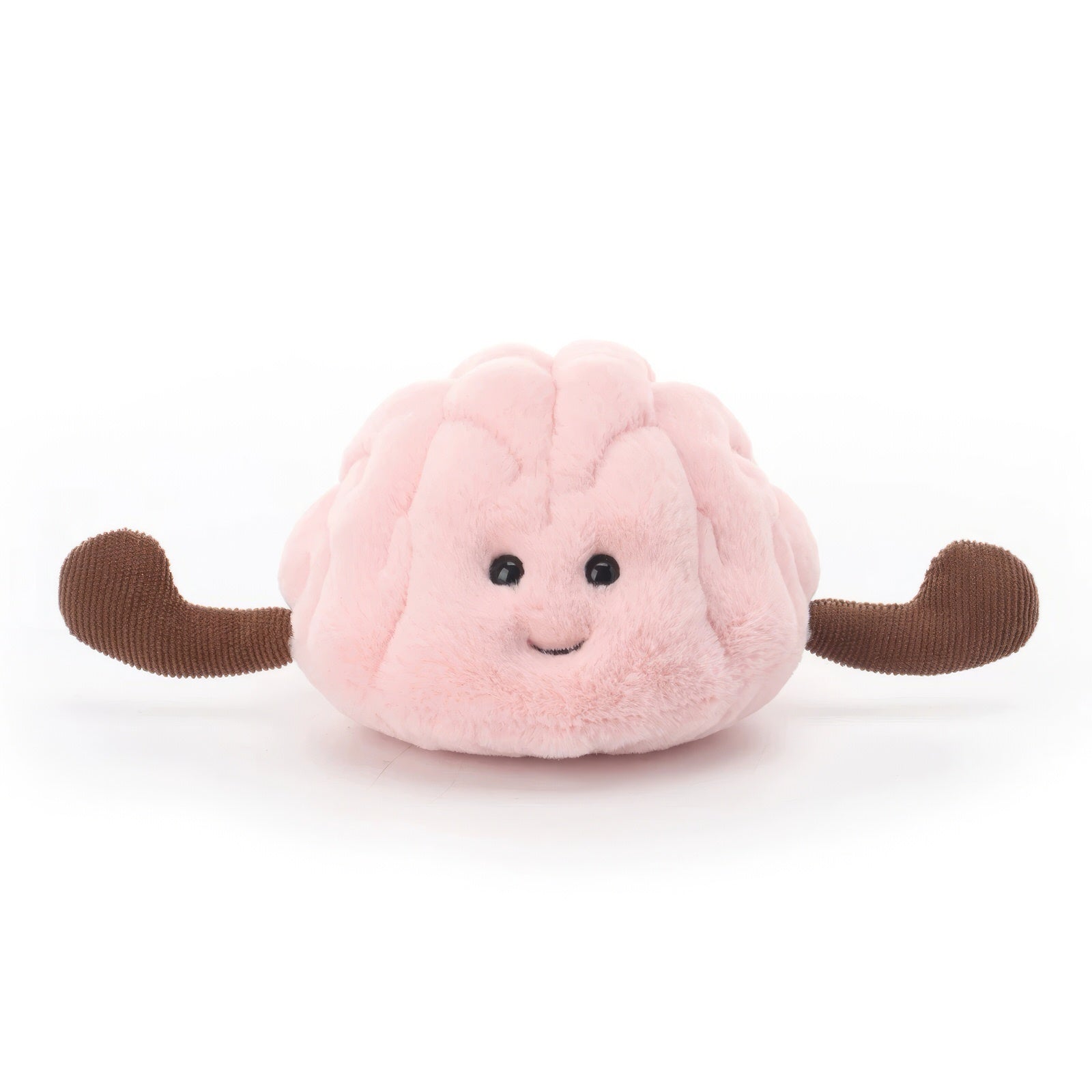 Archie-Brain-Plush-Toy-Plushables